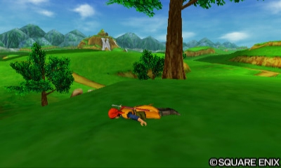 dq8grass